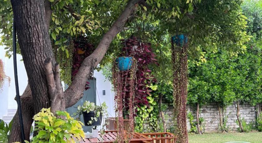 Club Denovo Ξενοδοχείο Μπούτβαλ Εξωτερικό φωτογραφία