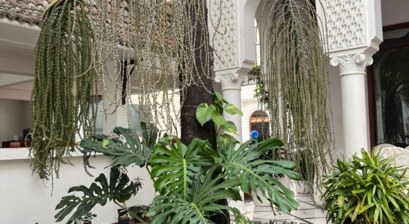 Club Denovo Ξενοδοχείο Μπούτβαλ Εξωτερικό φωτογραφία